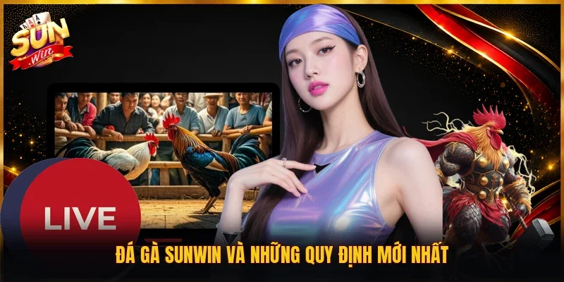 Đá gà SUNWIN và những quy định mới nhất