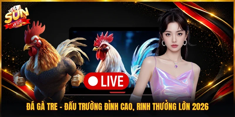 Đá Gà Tre | Đấu Trường Đỉnh Cao, Rinh Thưởng Lớn 2026