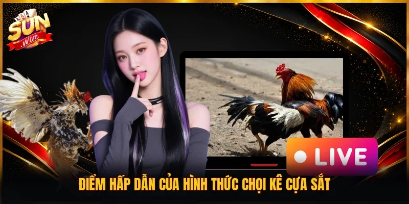 Điểm hấp dẫn của hình thức chọi kê cựa sắt