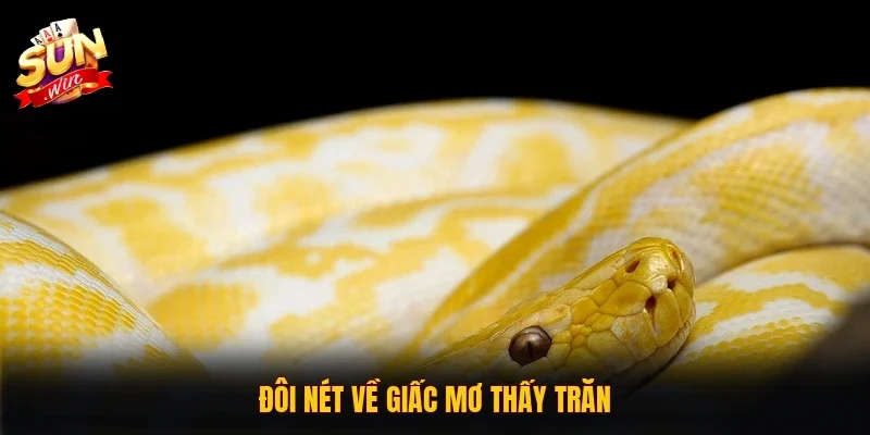 Đôi nét về giấc mơ thấy trăn