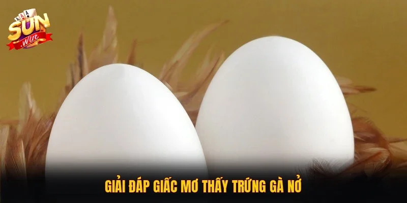 Giải đáp giấc mơ thấy trứng gà nở