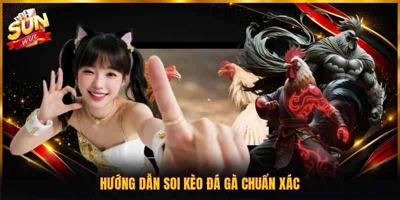 Hướng dẫn soi kèo đá gà chuẩn xác