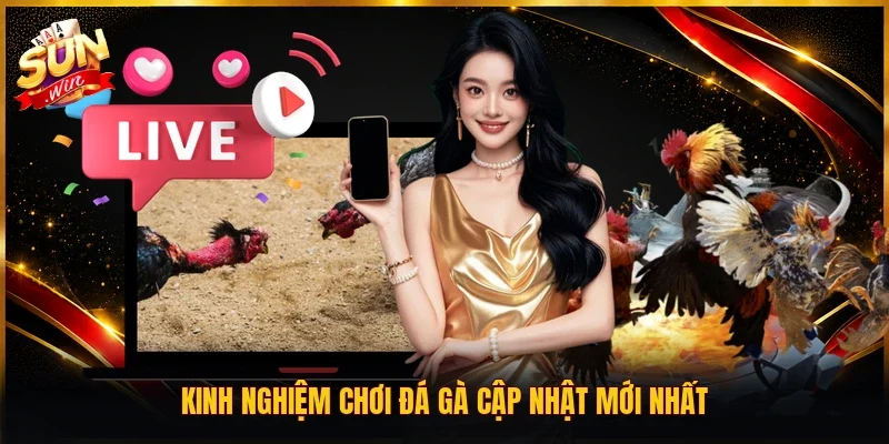 Kinh nghiệm chơi đá gà cập nhật mới nhất