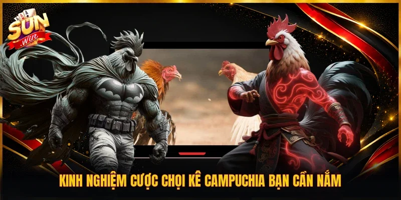 Kinh nghiệm cược chọi kê Campuchia bạn cần nắm