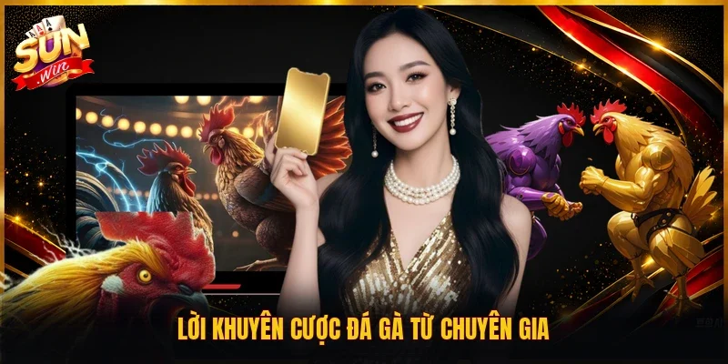 Lời khuyên cược đá gà từ chuyên gia