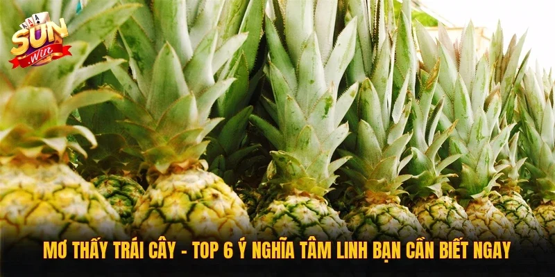 Mơ Thấy Trái Cây | Top 6 Ý Nghĩa Tâm Linh Bạn Cần Biết Ngay