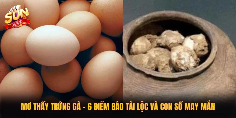 Mơ Thấy Trứng Gà | 6 Điềm Báo Tài Lộc Và Con Số May Mắn