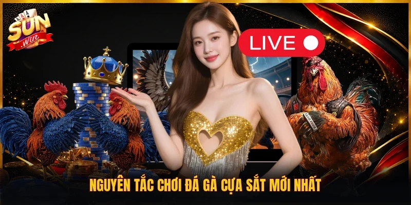 Nguyên tắc chơi đá gà cựa sắt mới nhất