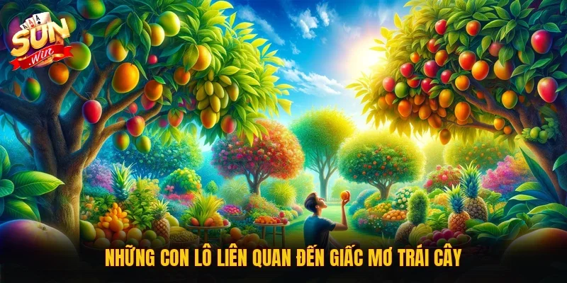 Những con lô liên quan đến giấc mơ trái cây