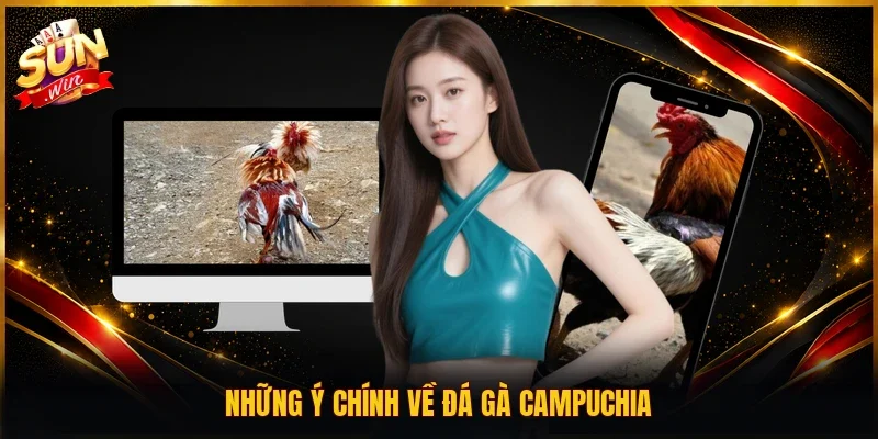 Những ý chính về đá gà Campuchia