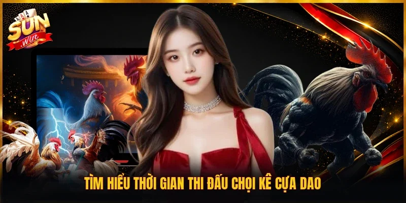 Tìm hiểu thời gian thi đấu chọi kê cựa dao