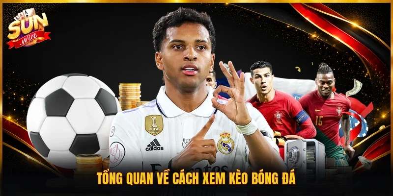 Tổng quan về cách xem kèo bóng đá