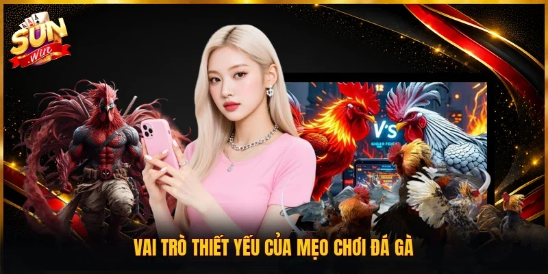 Vai trò thiết yếu của mẹo chơi đá gà